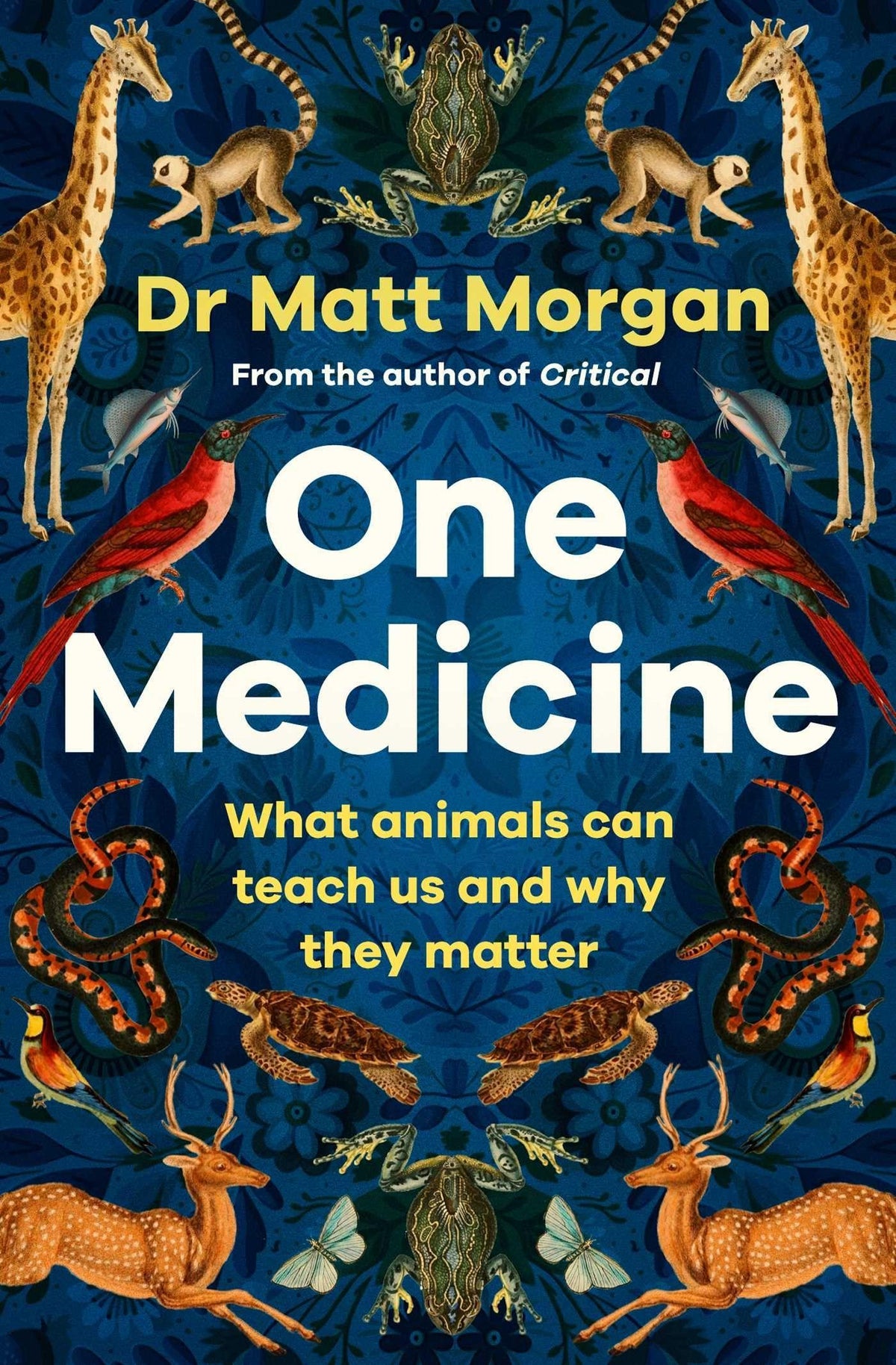 Buchcover: One Medicine