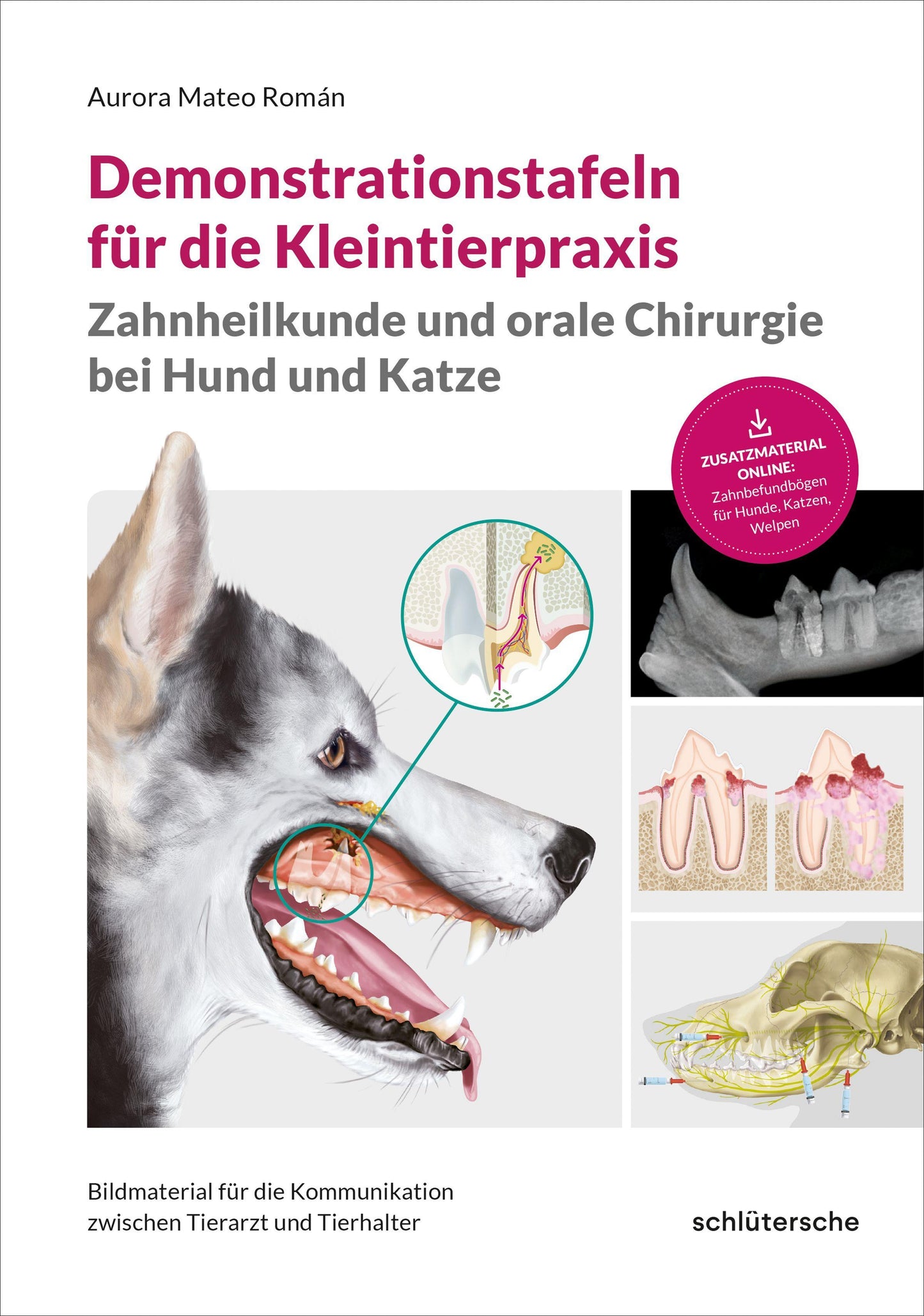 Demonstrationstafeln für die Kleintierpraxis, Zahnheilkunde und orale Chirurgie bei Hund und Katze