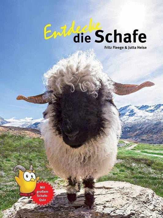 Entdecke die Schafe