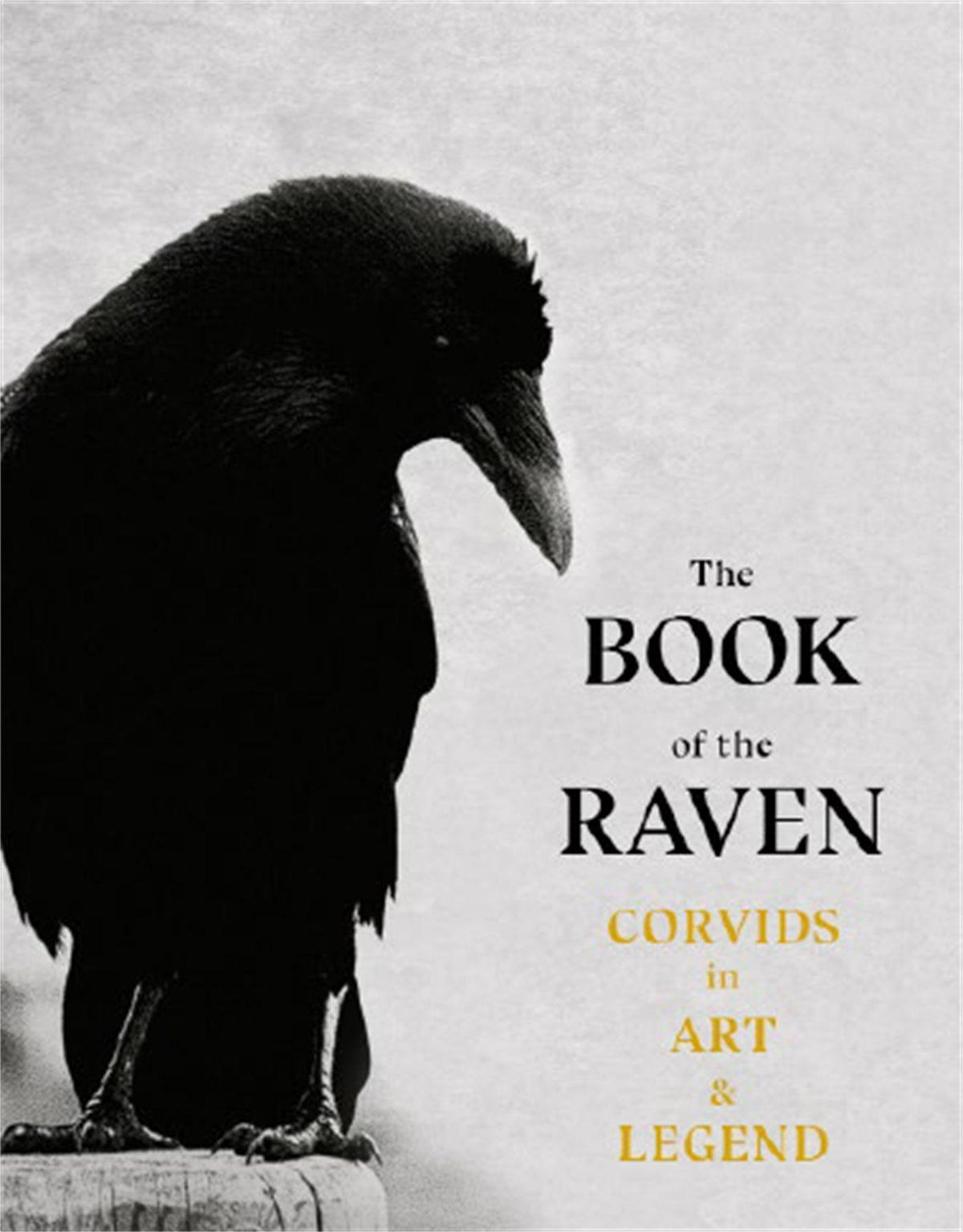 Buchcover: The Book of the Raven