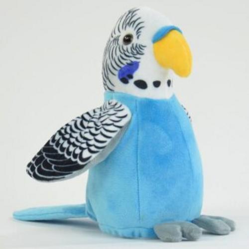 Laber Wellensittich, blau