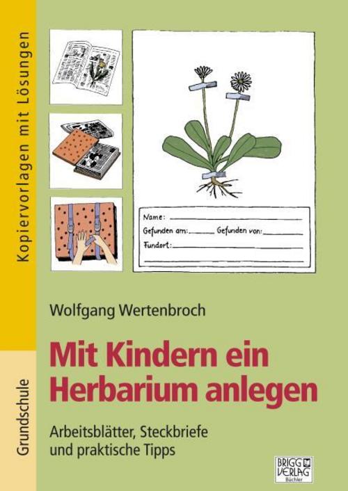 Mit Kindern ein Herbarium anlegen