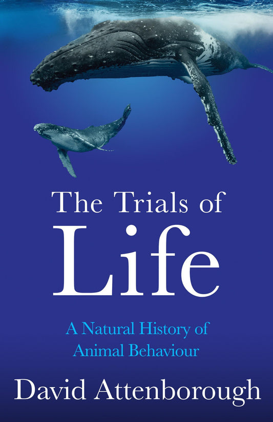 Buchcover: The Trials of Life