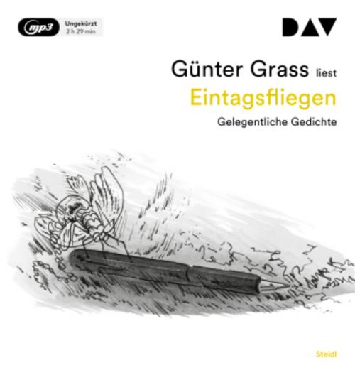 Eintagsfliegen. Gelegentliche Gedichte,1 Audio-CD, 1 MP3