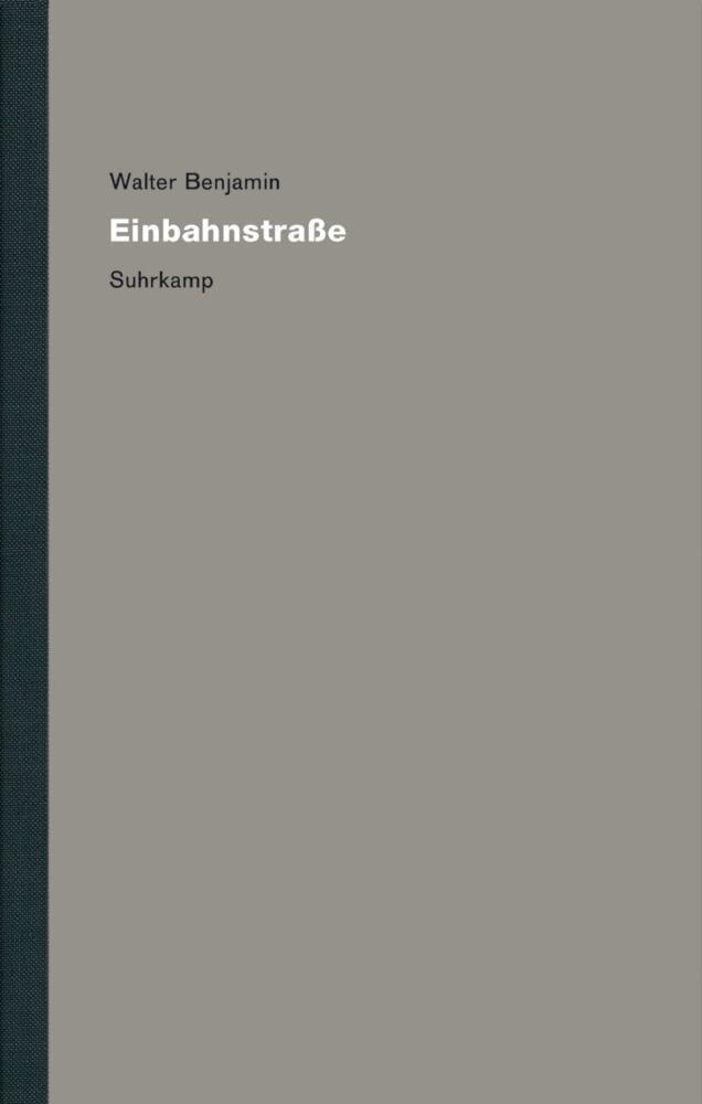 Werke und Nachlaß. Kritische Gesamtausgabe 8