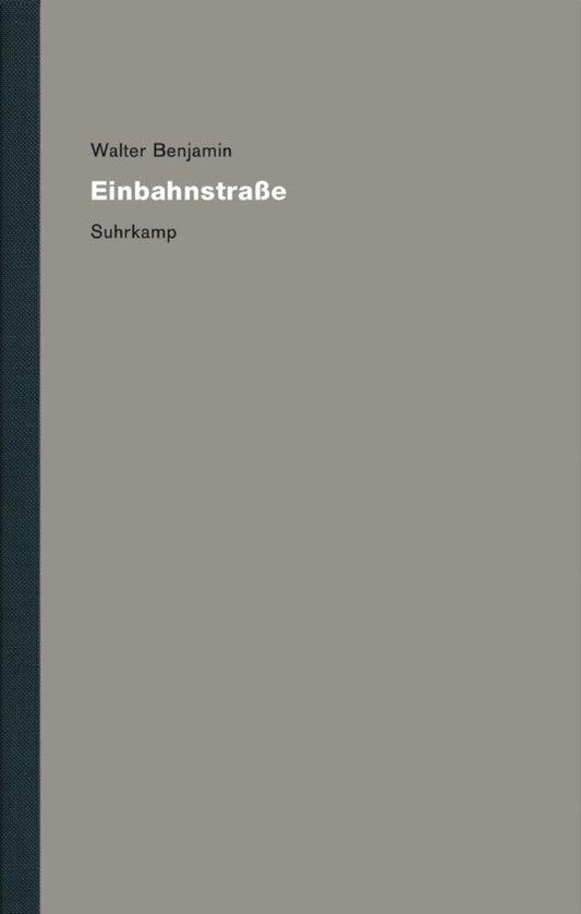 Werke und Nachlaß. Kritische Gesamtausgabe 8