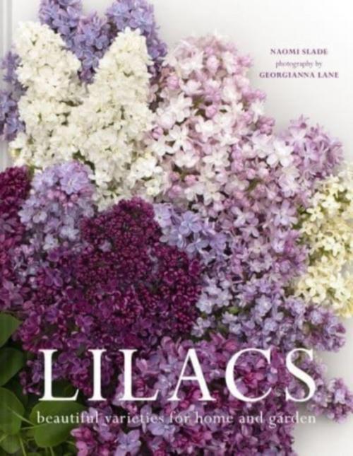 Buchcover: LILACS HB