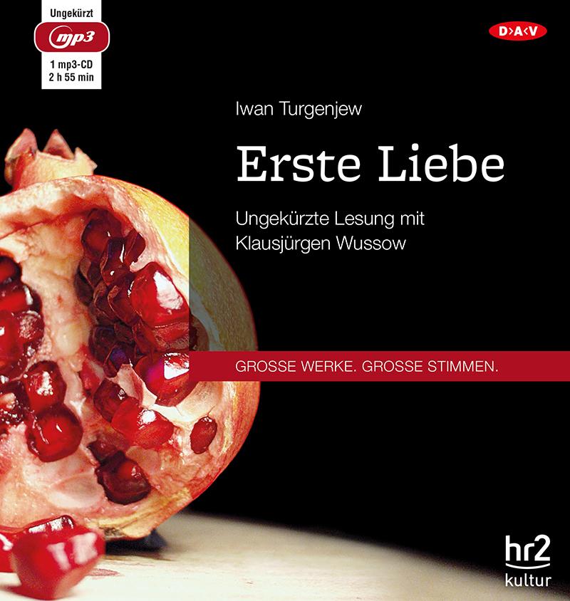 Erste Liebe,1 Audio-CD, 1 MP3