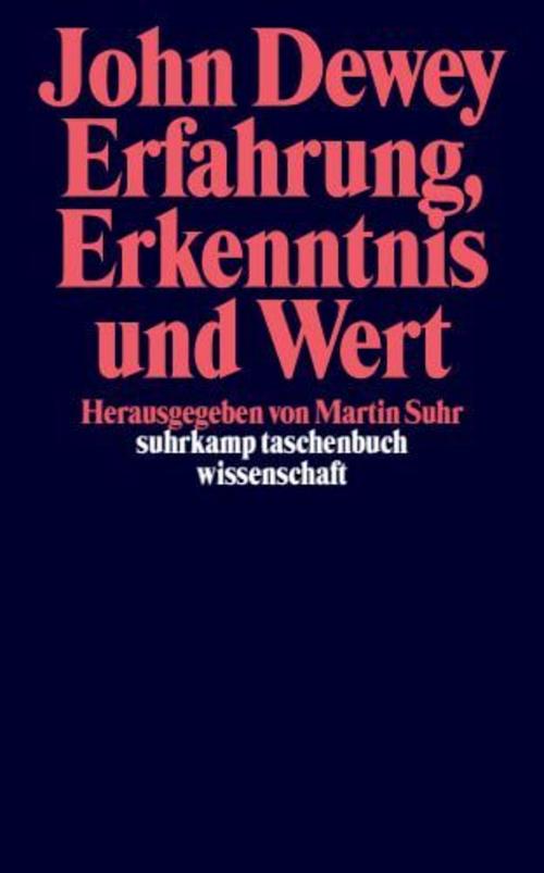 Buchcover: Erfahrung, Erkenntnis und Wert