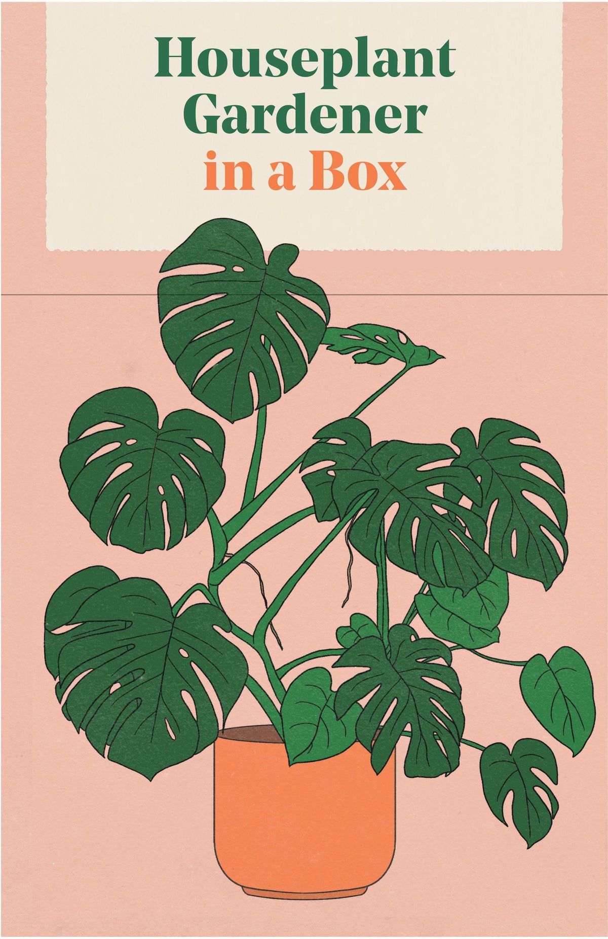 Buchcover: Houseplant Gardener in a Box