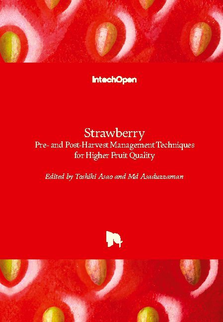 Buchcover: Strawberry