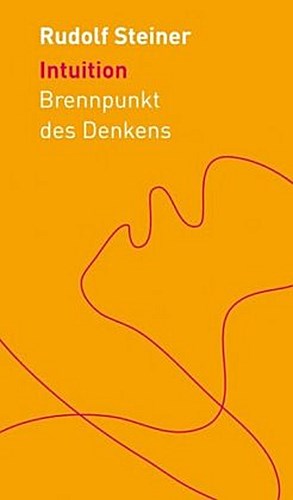 Buchcover: Intuition