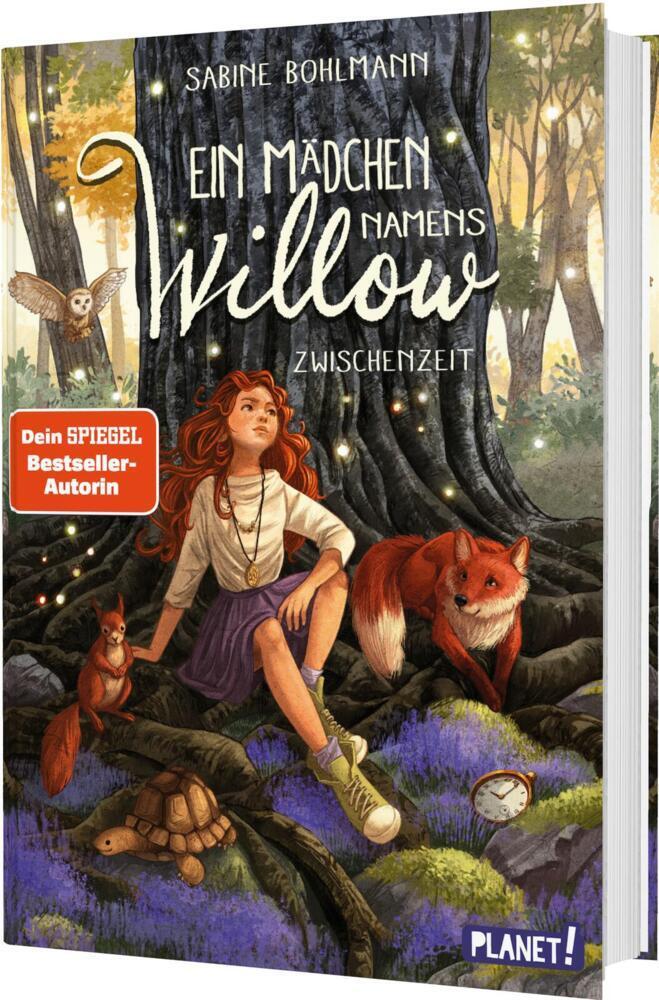 Ein Mädchen namens Willow 6: Zwischenzeit