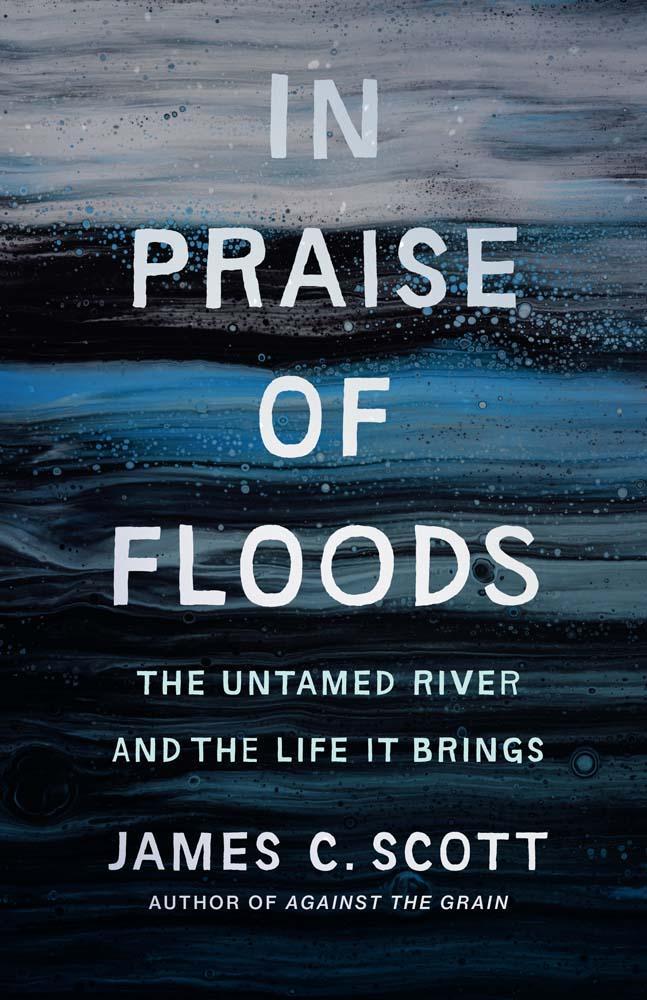 Buchcover: In Praise of Floods