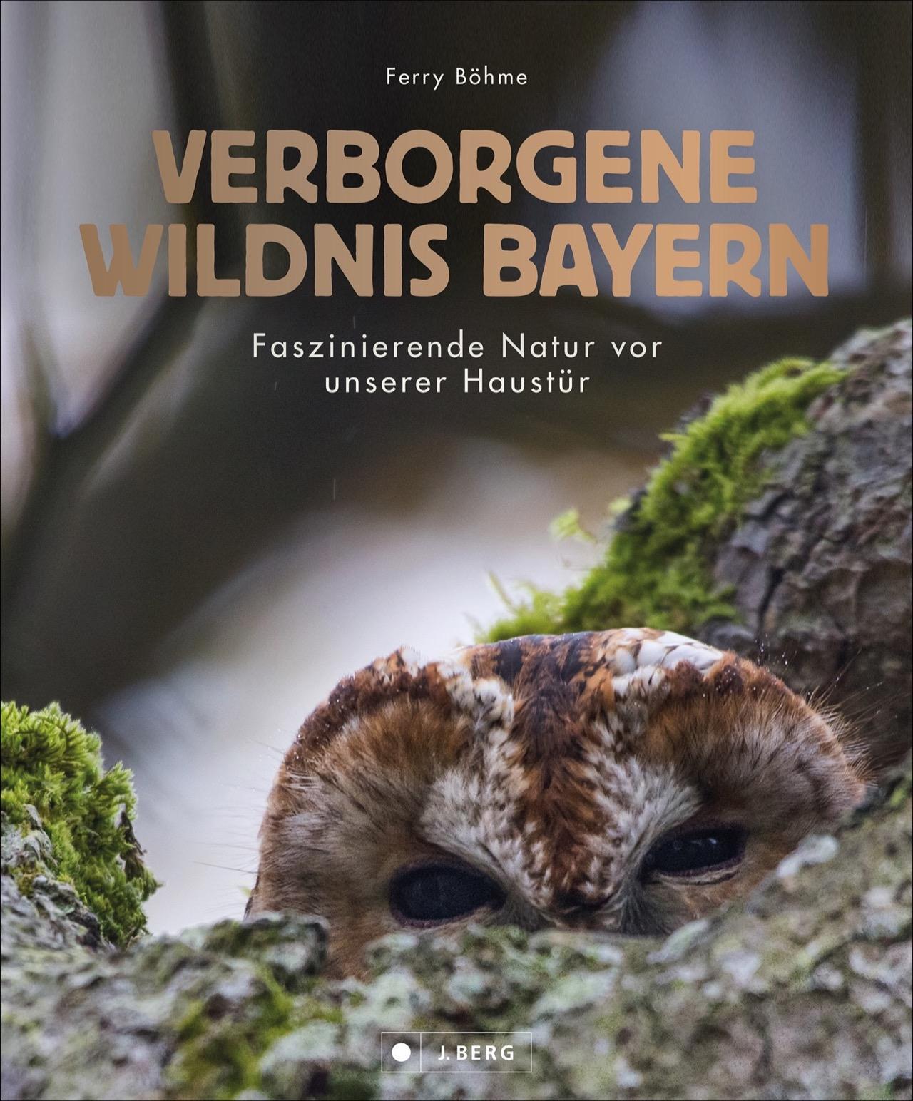 Buchcover: Verborgene Wildnis Bayern