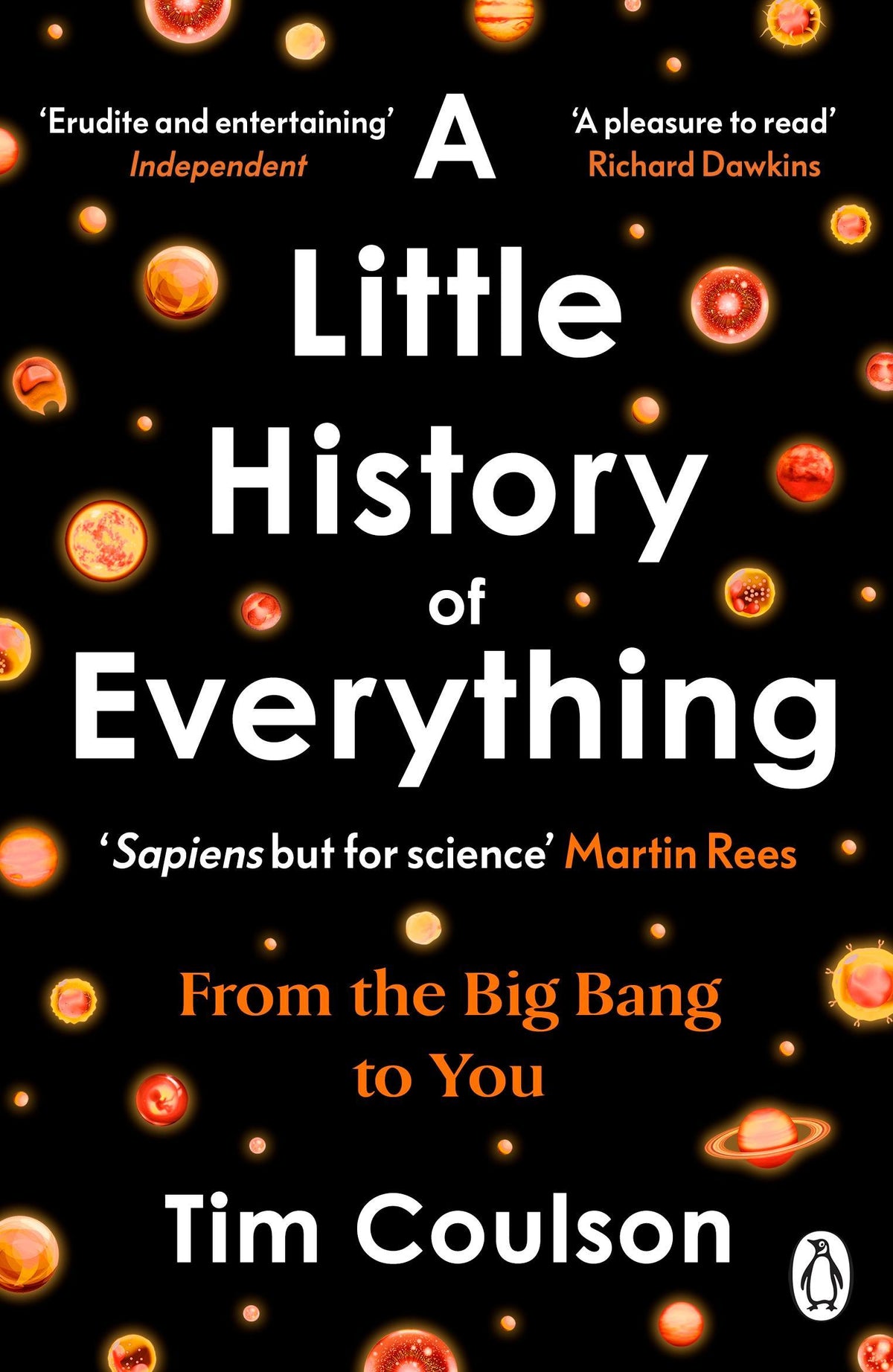 Buchcover: A Little History of Everything