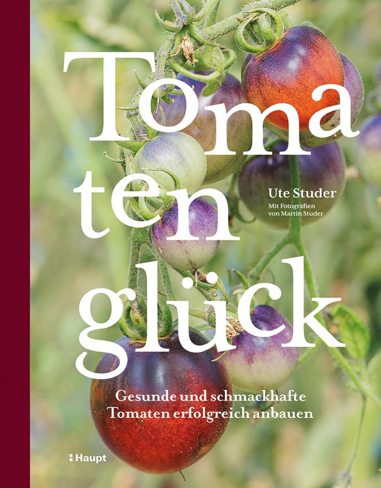Tomatenglück: Gesunde und schmackhafte Tomaten erfolgreich anbauen