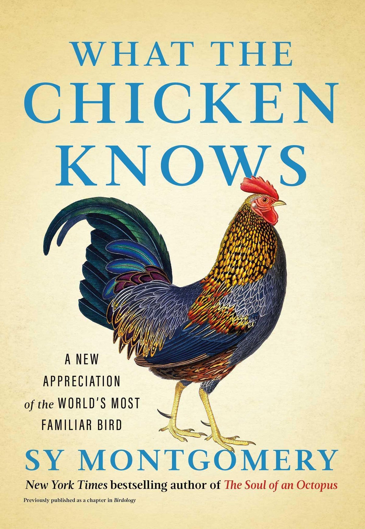 Buchcover: What the Chicken Knows