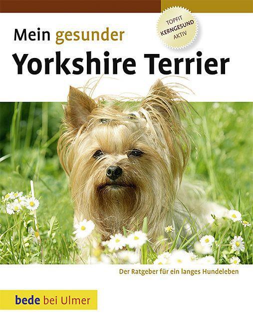 Buchcover: Mein gesunder Yorkshire Terrier