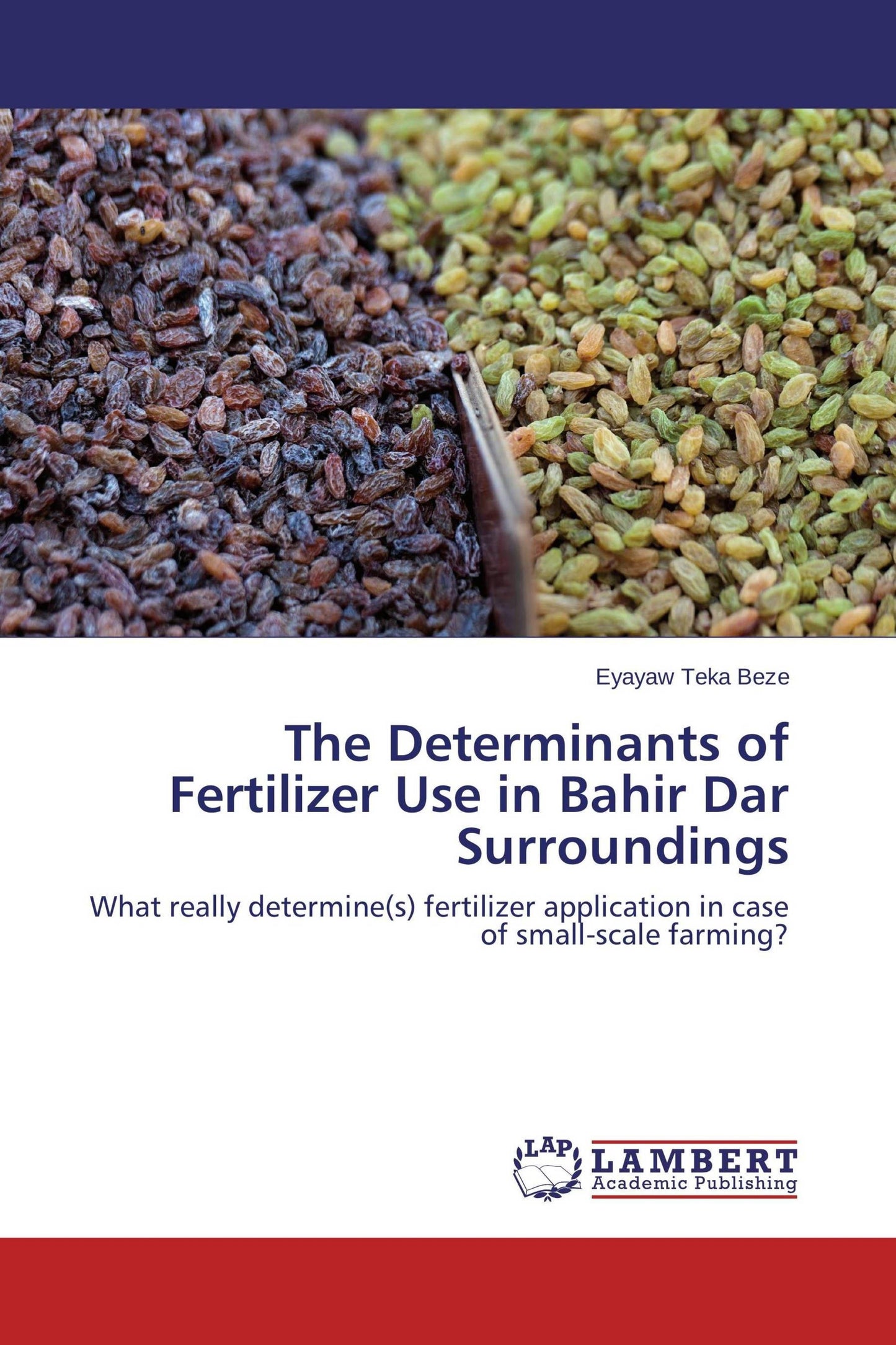 The Determinants of Fertilizer Use in Bahir Dar Surroundings