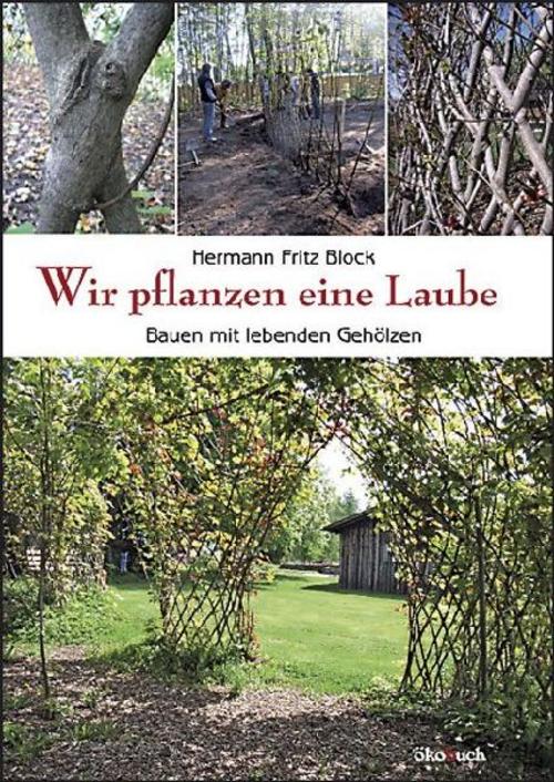 Wir pflanzen eine Laube