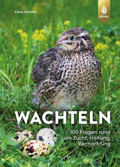 Buchcover: Wachteln