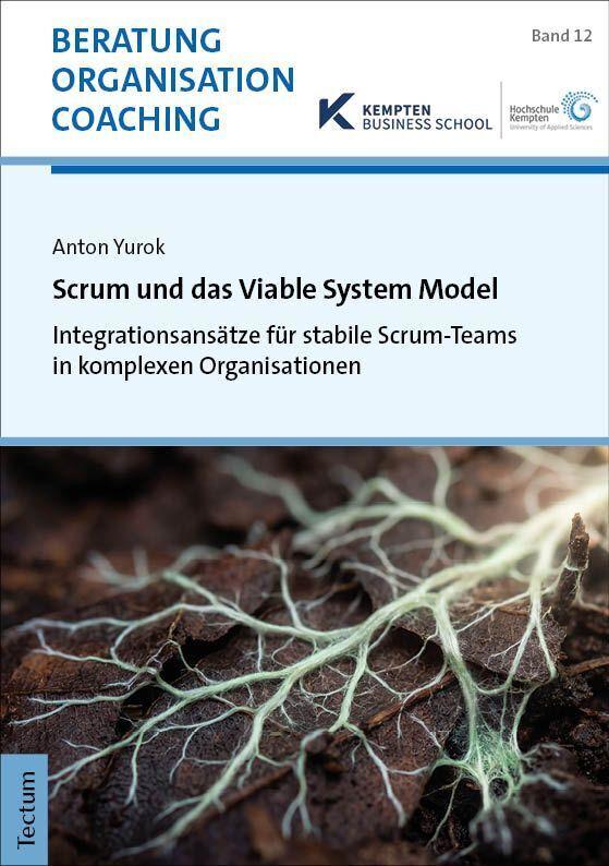Scrum und das Viable System Model