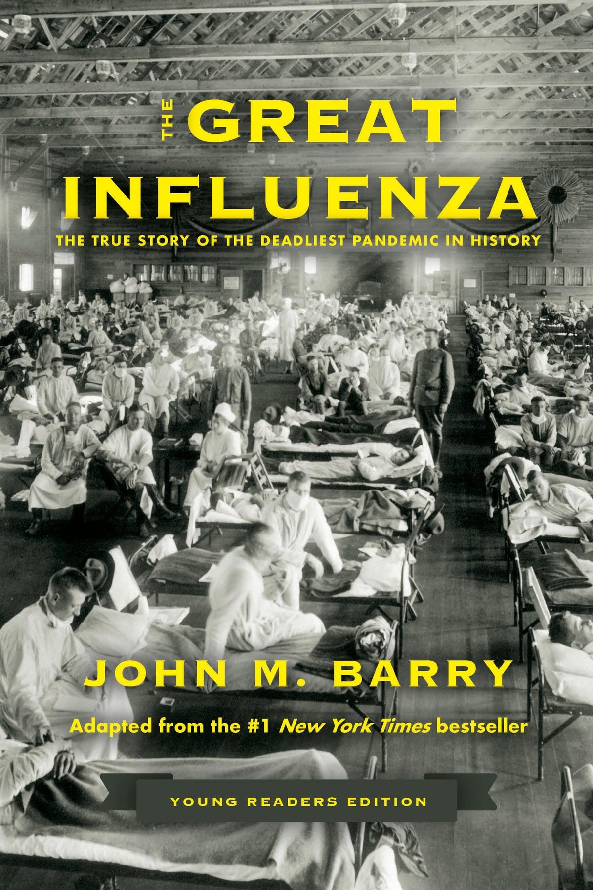 Buchcover: The Great Influenza
