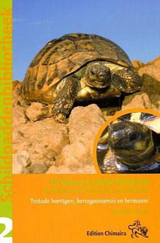 Buchcover: Griekse Landschildpad