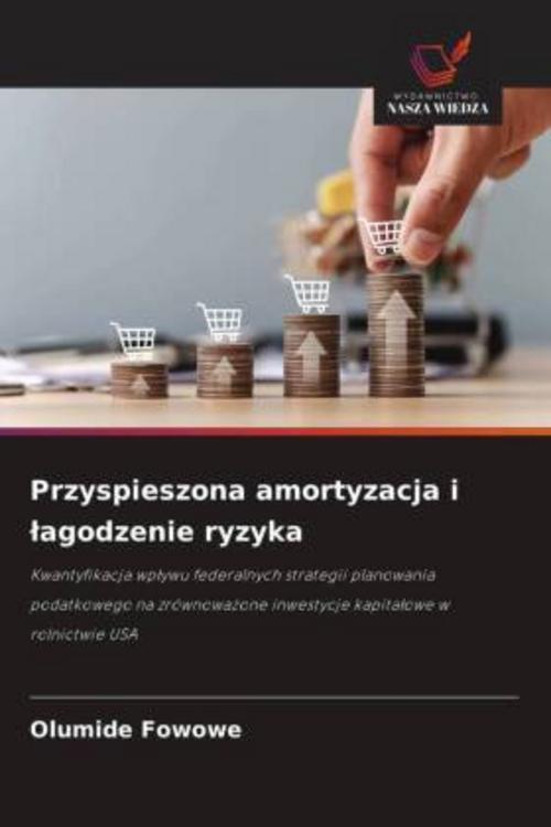 Przyspieszona amortyzacja i ¿agodzenie ryzyka