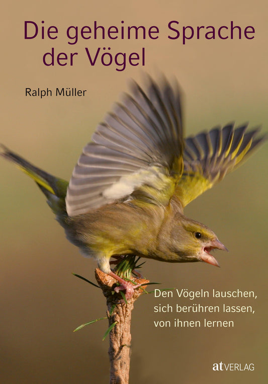 Die geheime Sprache der Vögel
