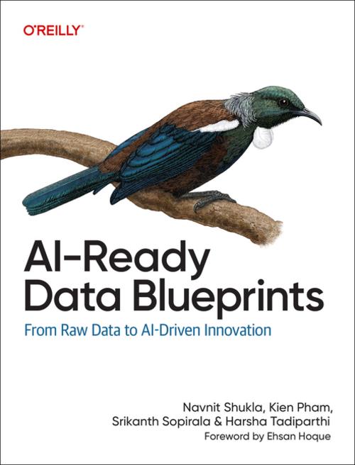 Buchcover: AI-Ready Data Blueprints