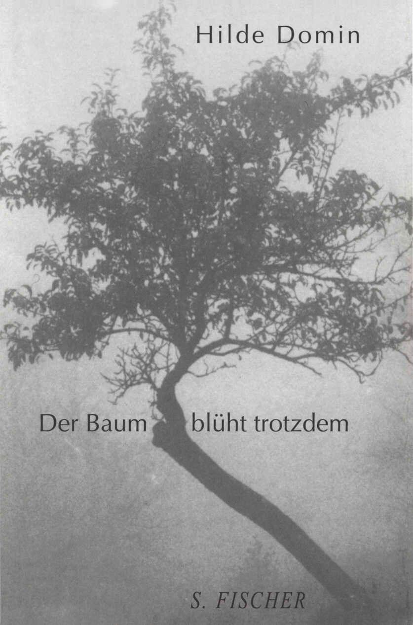Der Baum blüht trotzdem