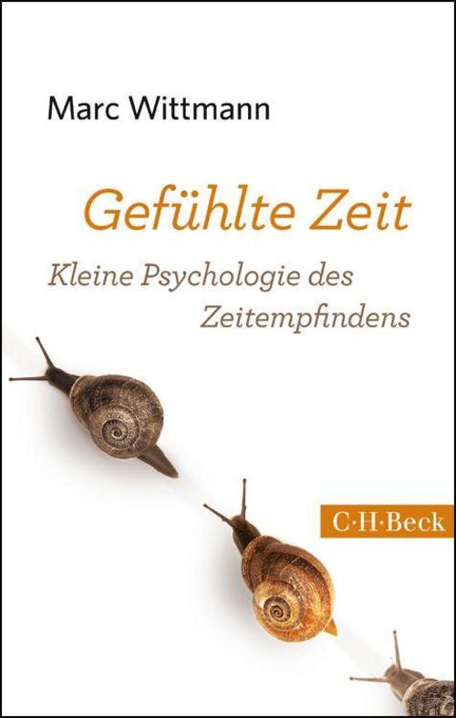 Buchcover: Gefühlte Zeit