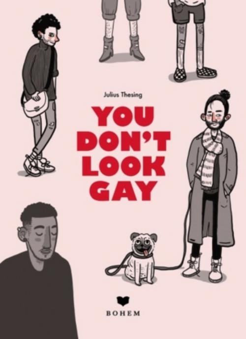 Buchcover: You don't look gay