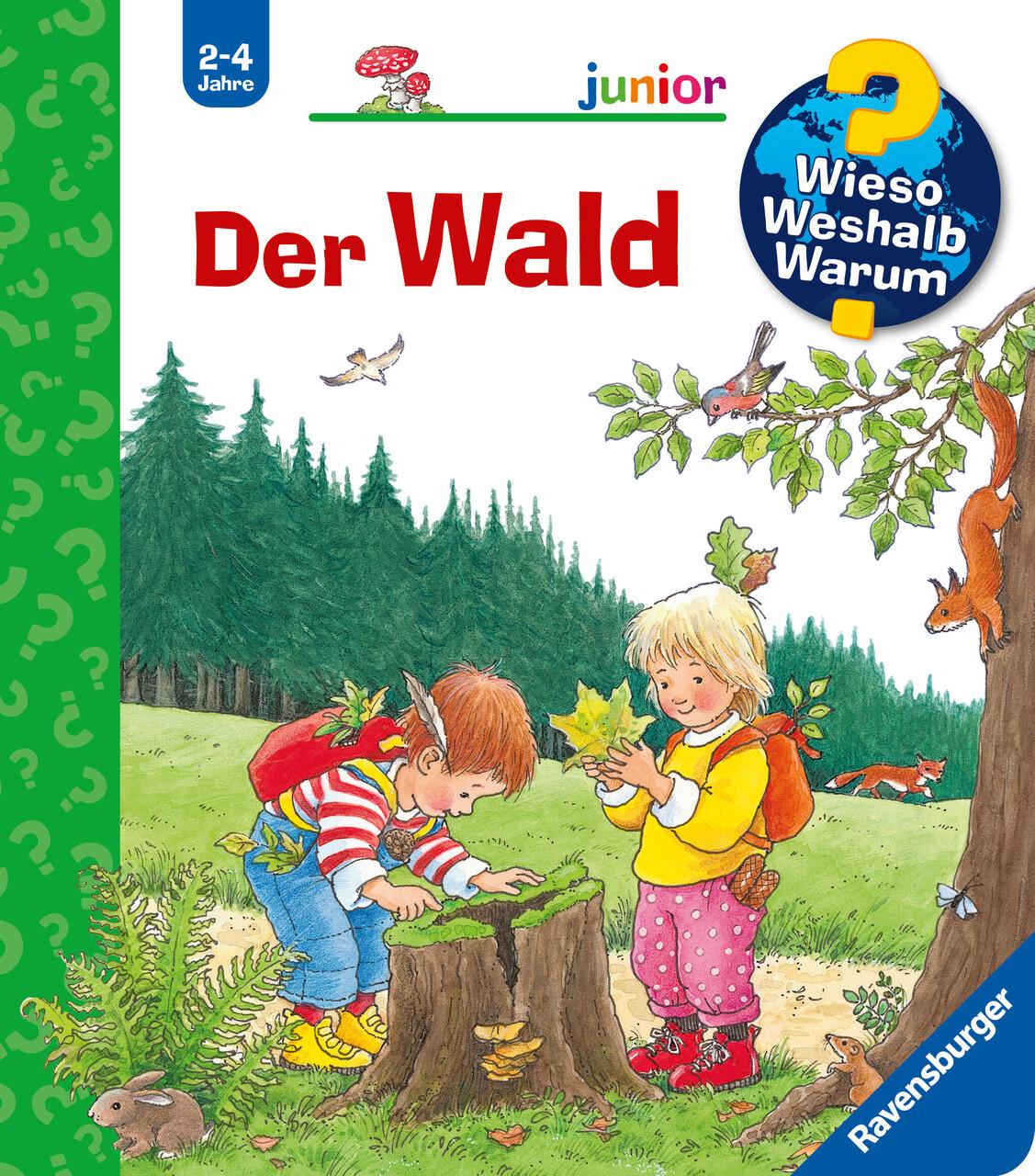 WWW junior.Der Wald