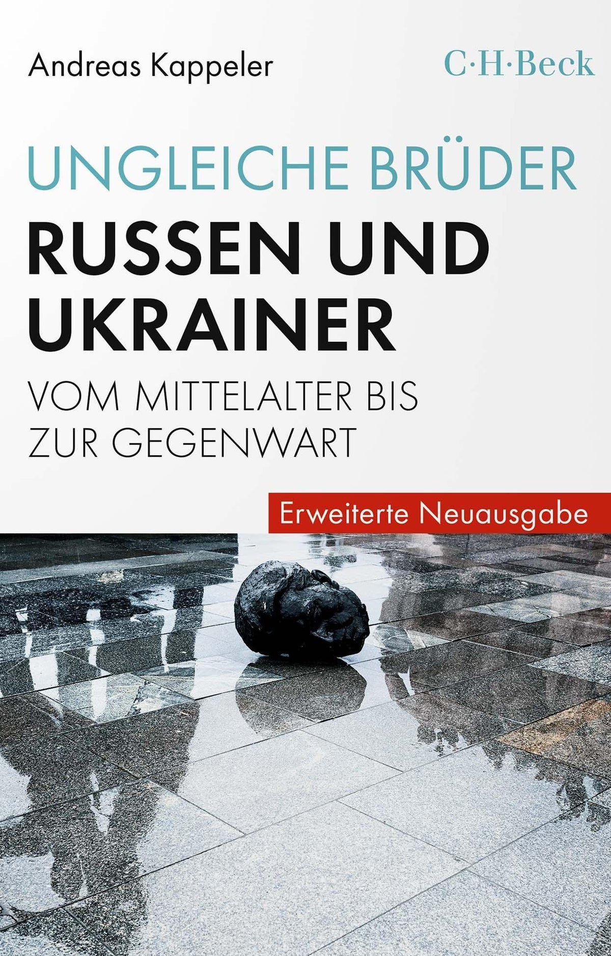 Buchcover: Ungleiche Brüder