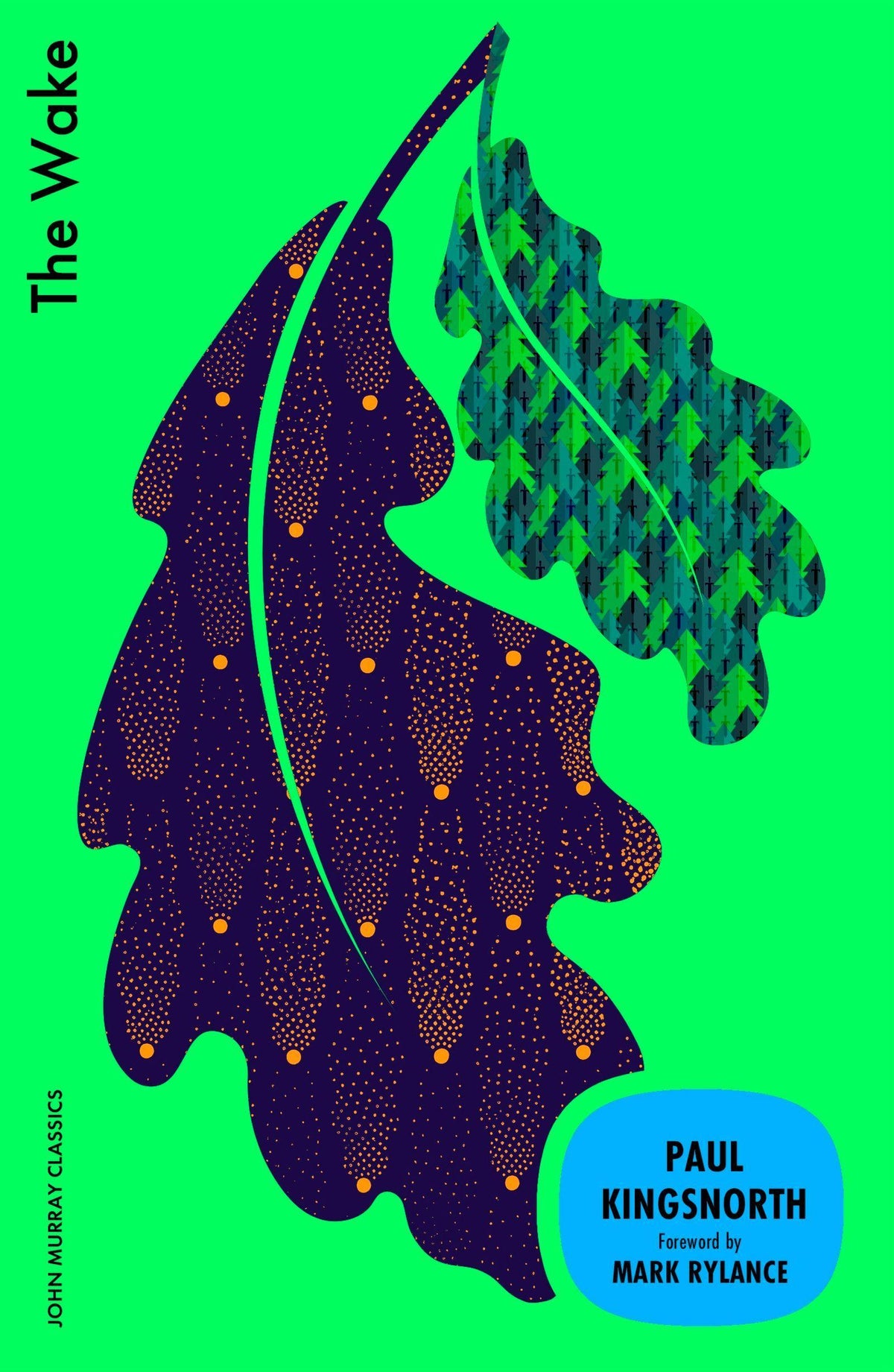 Buchcover: The Wake
