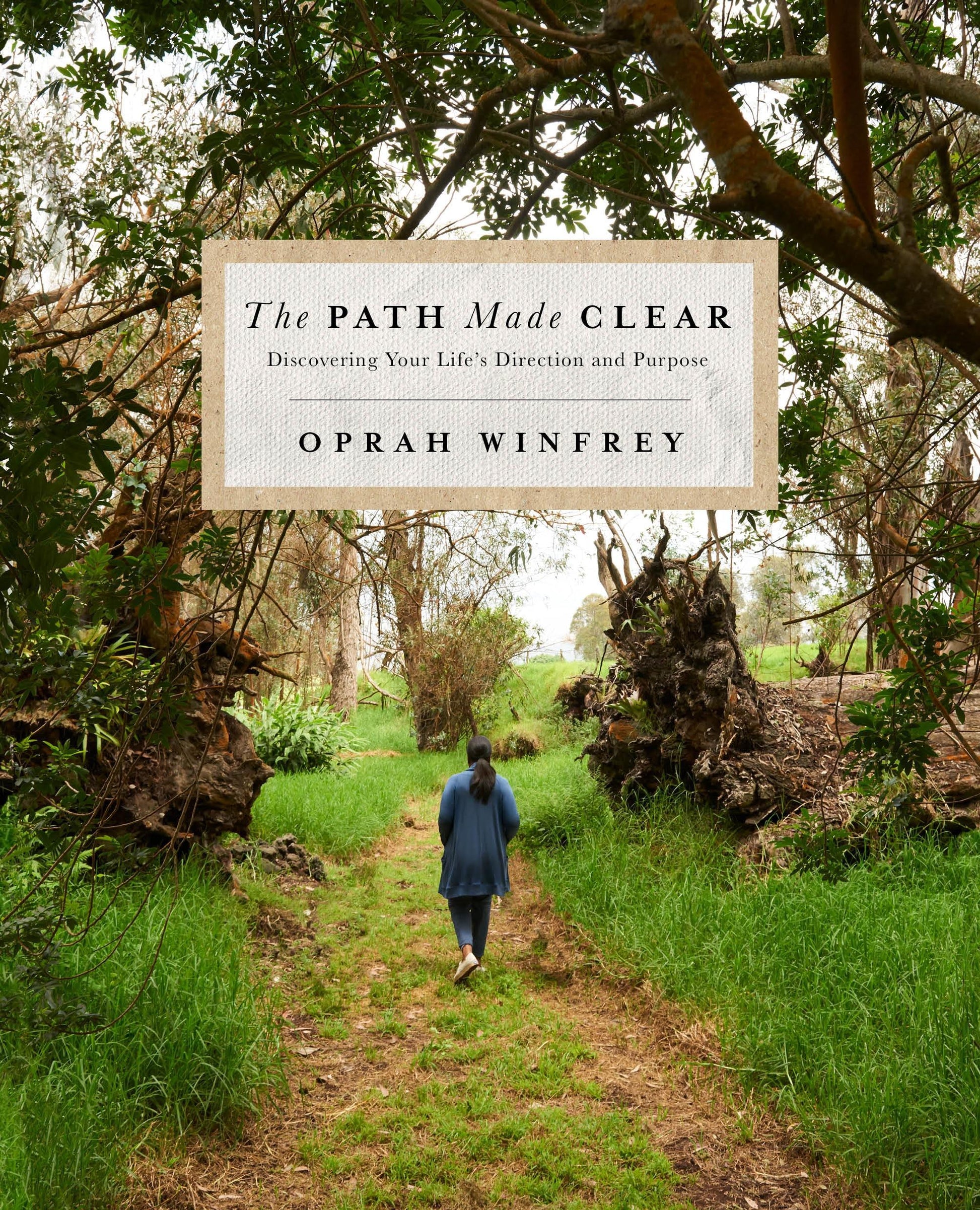 Buchcover: The Path Made Clear