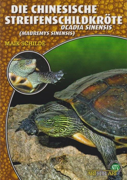 Buchcover: Die Chinesische Streifenschildkröte