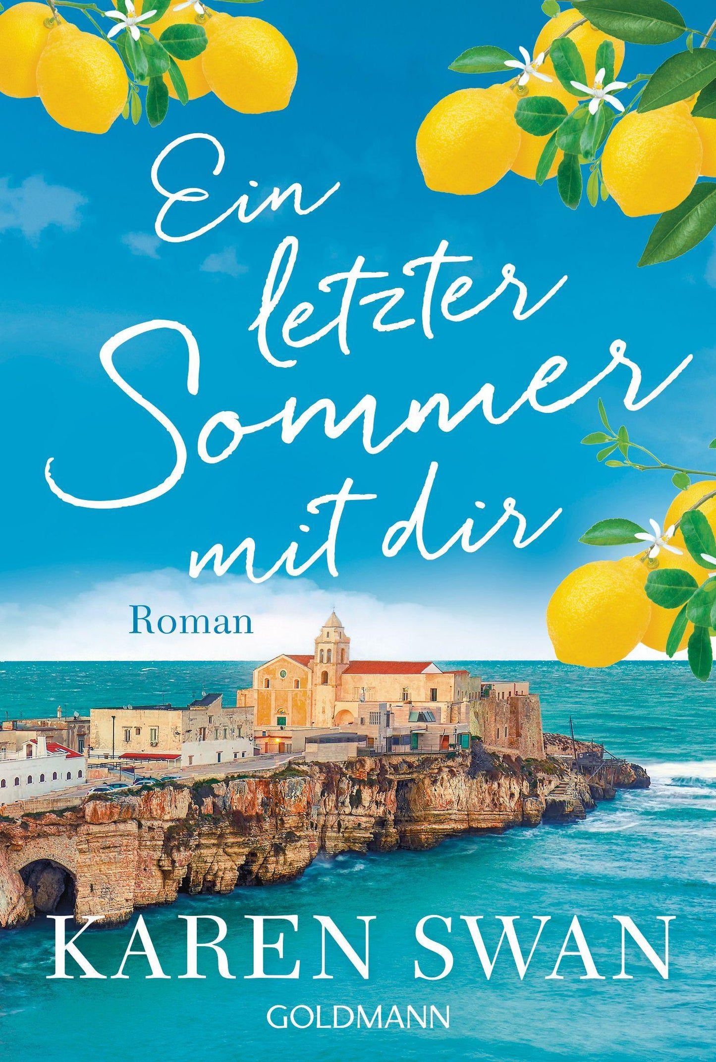 Swan, Karen/Ein letzter Sommer mit dir