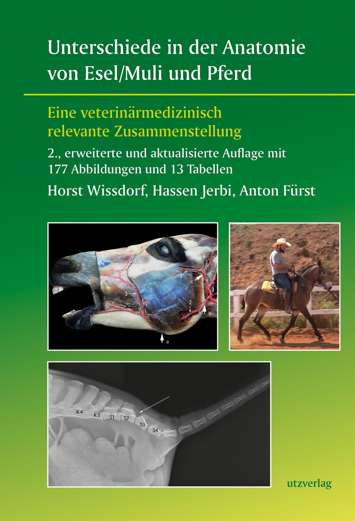 Buchcover: Unterschiede in der Anatomie von Esel/Muli und Pferd