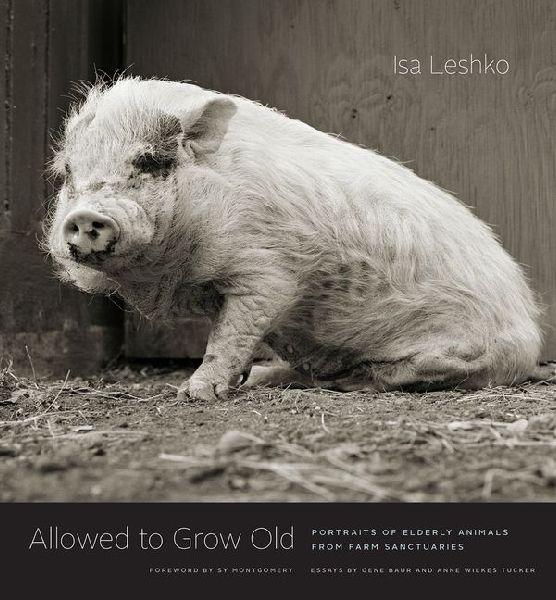 Buchcover: Allowed to Grow Old
