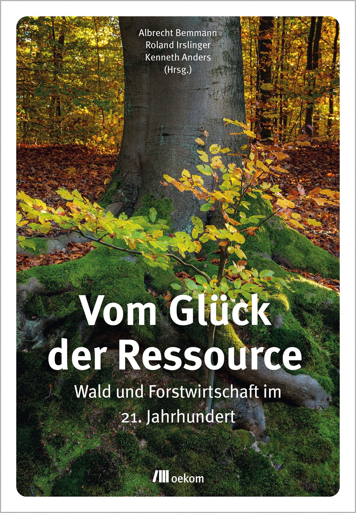 Buchcover: Vom Glück der Ressource