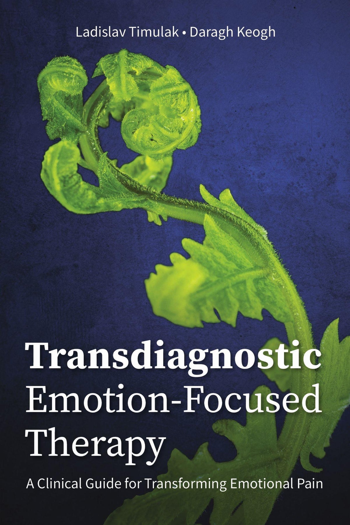 Buchcover: Transdiagnostic Emotion-Focused Therapy
