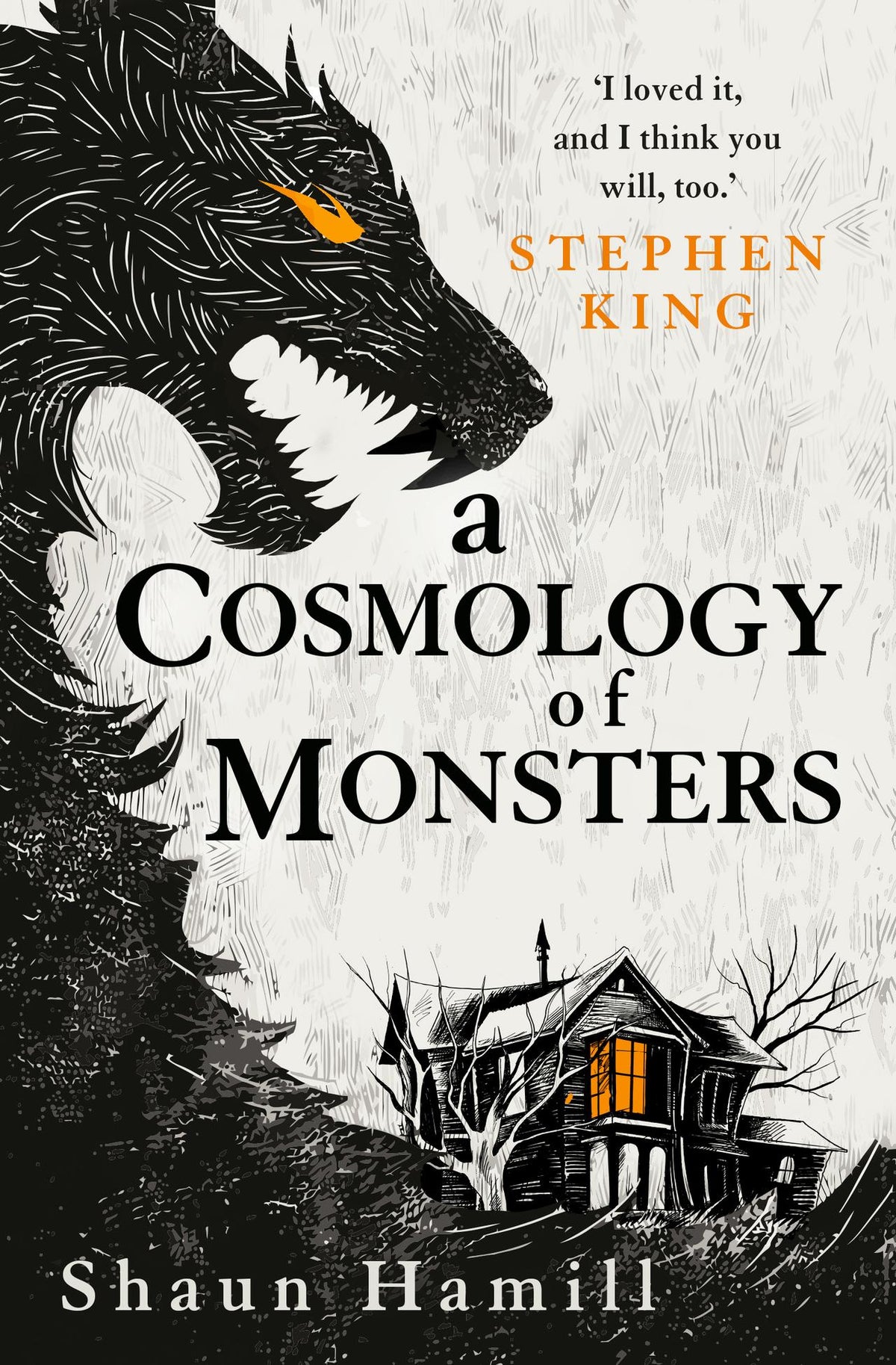 Buchcover: A Cosmology of Monsters