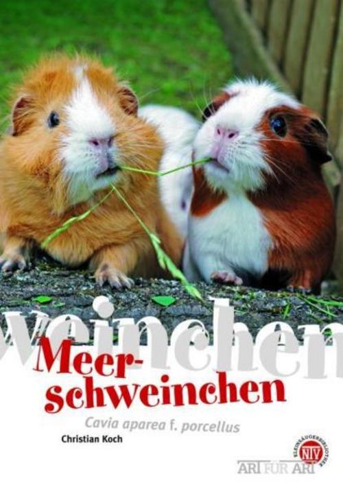 Buchcover: Meerschweinchen