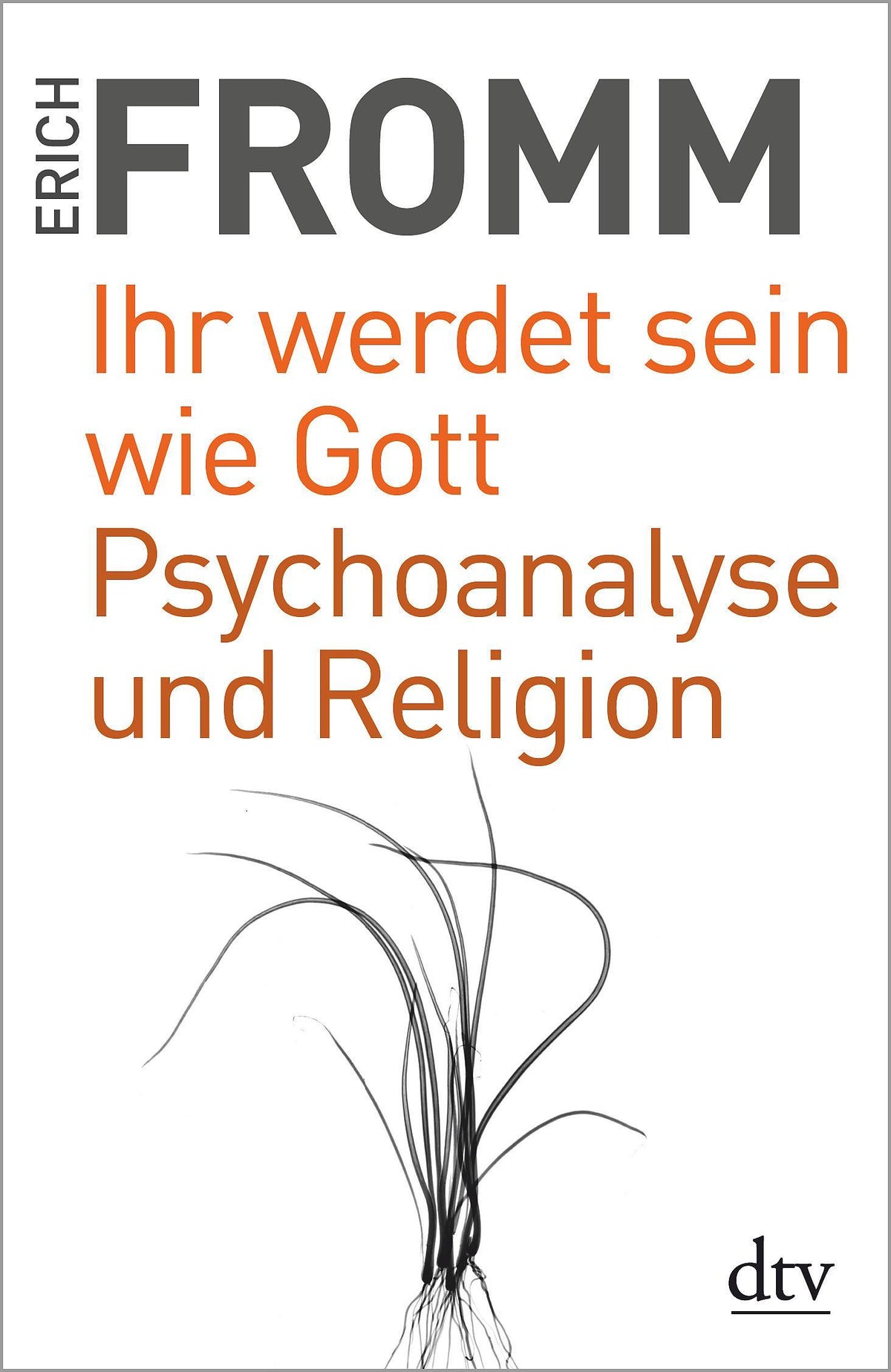Buchcover: Ihr werdet sein wie Gott Psychoanalyse und Religion