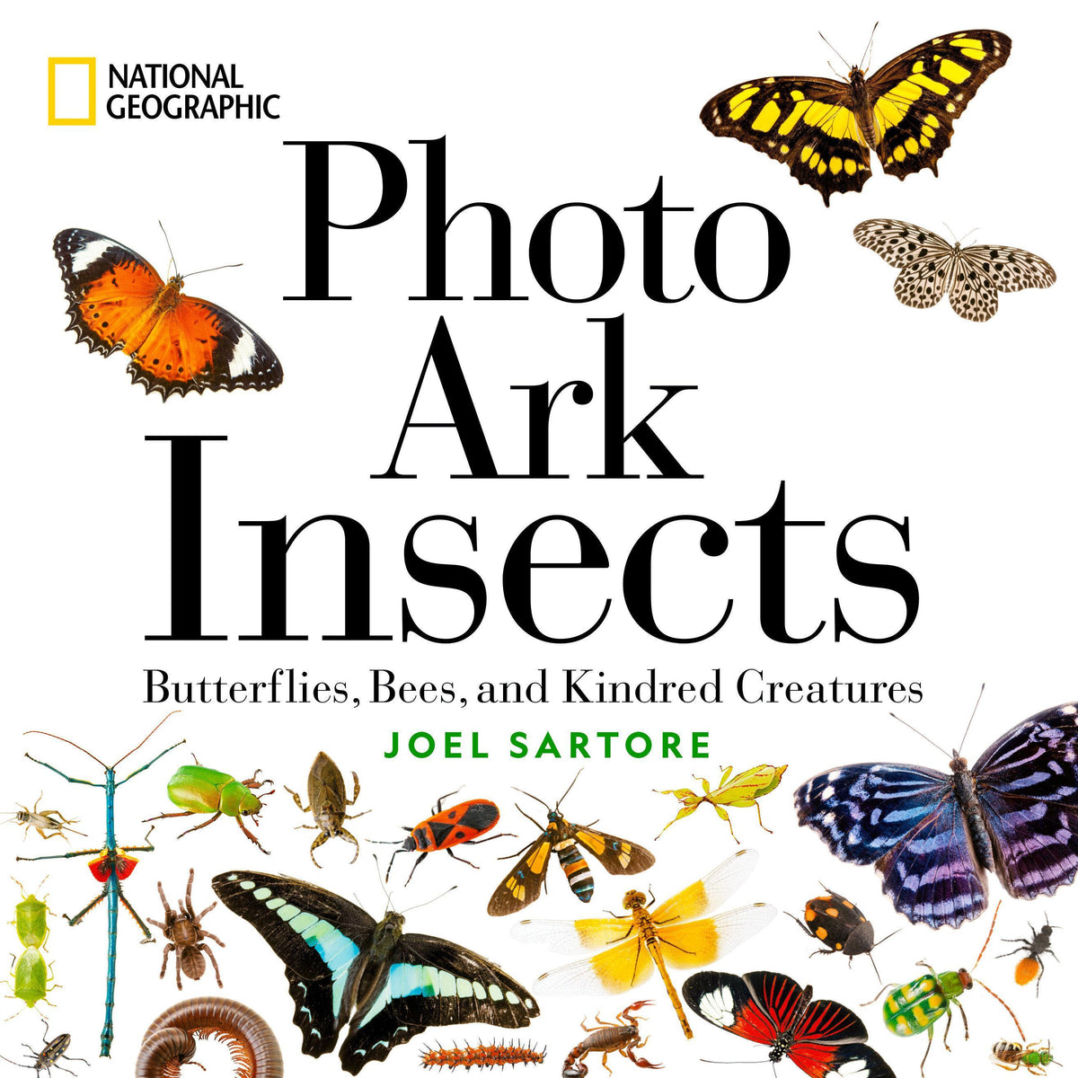 Buchcover: National Geographic Photo Ark Insects