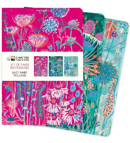 Buchcover: Lucy Innes Williams Set of 3 MIDI Notebooks